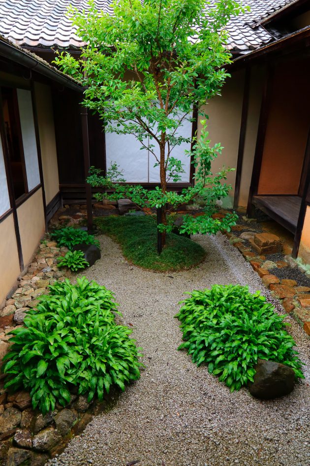 Japanese garden -Tsubo Manshu-in_Marc-Peter-Keane_Japanese-gardens