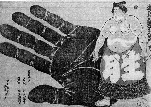 sumo-hand