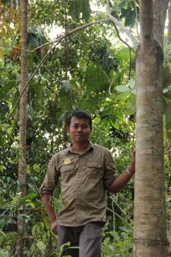 58 Panut Hadisiswoyo next to a tree planted by Panut in 2009 in OIC restoration site in the Leuser Ecosystem forest-min