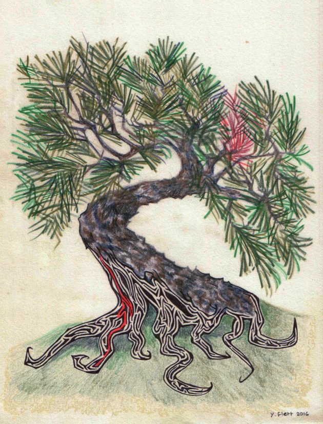 Bonsai tree drawing