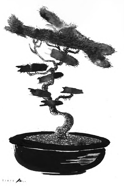 Ink painting of bonsai tree